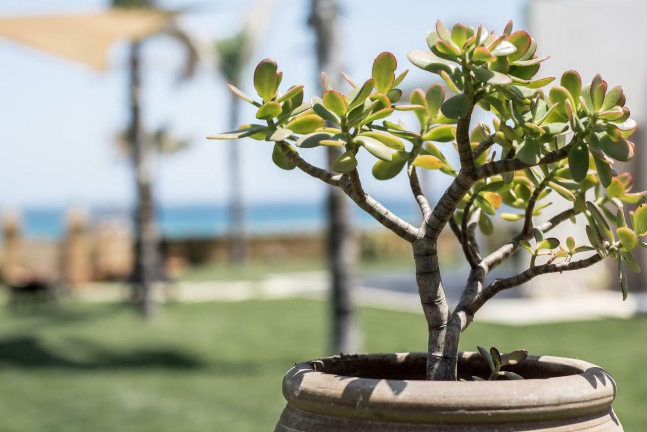 Arabel Villas Reitani Dış mekan fotoğraf